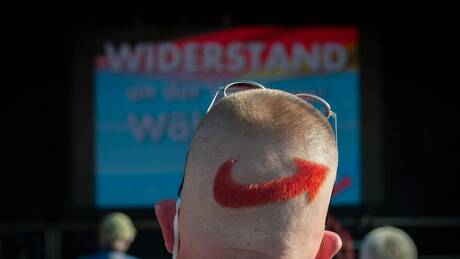 AfD u Beloj kući: Trampova administracija ruši nemački "vatreni zid"?