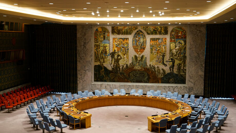 Savet bezbednosti Ujedinjenih nacija o lažima Estonije