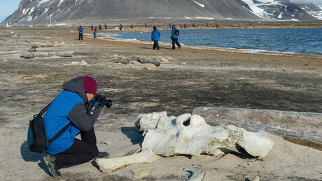 Ostaci nepoznatog gigantskog bića pronađeni na Kurilskim ostrvima (FOTO + VIDEO)