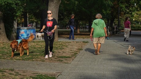 Promenljivo i vetrovito: Mestimično s kišom