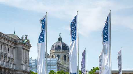 Русија се повлачи из европских институција? Путин и парламент о будућности сарадње са ОЕБС-ом