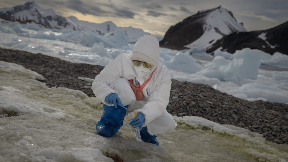 Naučnici oživeli mikrobe stare preko 40.000 godina, zarobljene u aljaskom permafrostu