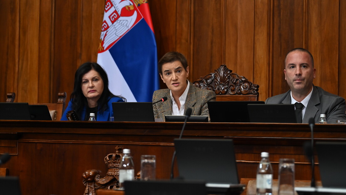 Brnabićeva o rezoluciji Evropskog parlamenta: Sledeći put neka osude "pčele ubice"