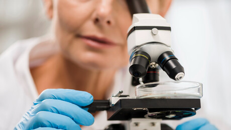 Naučnici stvorili jajne ćelije od ljudske kože