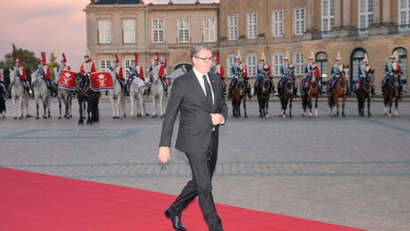 Вучић после разговора са Пленковићем о НИС-у: Питају се Руси и Американци