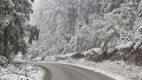 Zapadna Srbija: Sneg doneo nevolje, putevi u prekidu, sela bez struje, deo Nove Varoši bez vode