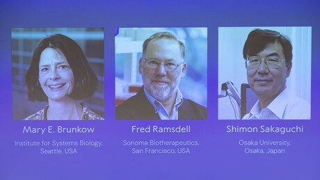 Нобелов комитет не може да ступи у контакт са добитником јер је на планинарењу