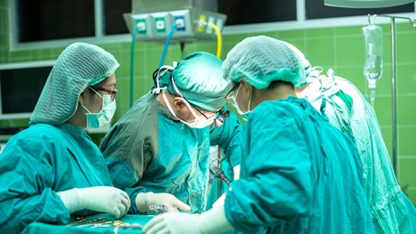 Pacijent u Kini živeo više od 170 dana nakon transplantacije svinjske jetre