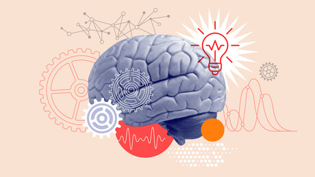 Ovo je period života kada mozak radi najbolje - nije u mladosti