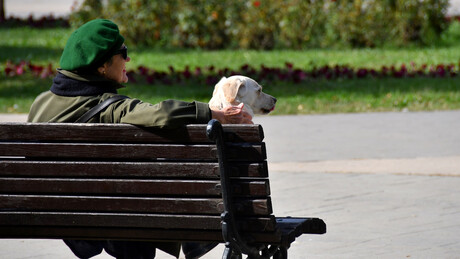 Vremenska prognoza: Umereno oblačno vreme, popodne kiša