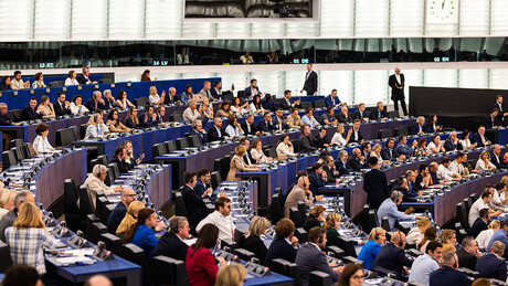 Rasprava o Srbiji u EP: O padu nadstrešnice i protestima, Kos pozvala obe strane na mir