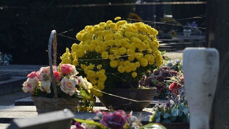 У Хрватској се хвале уклањањем српских споменика: Почели од Борова, али ту се не заустављају