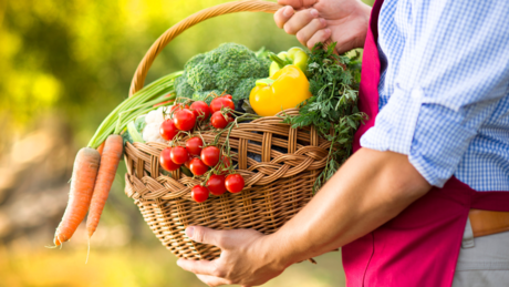 Солидарна пољопривреда и пчеларство: Нови тренд у Русији захваљујући коме су на добитку сви