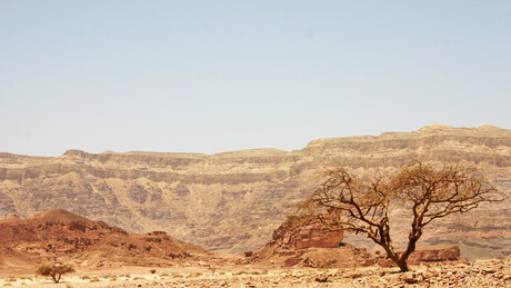 Misteriozne ruševine pronađene u Egiptu nude novi dokaz za priču o Mojsiju