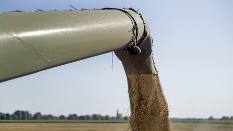 ЕК прети правним мерама земљама које су забраниле увоз жита из Украјине: Немате оправдање за то