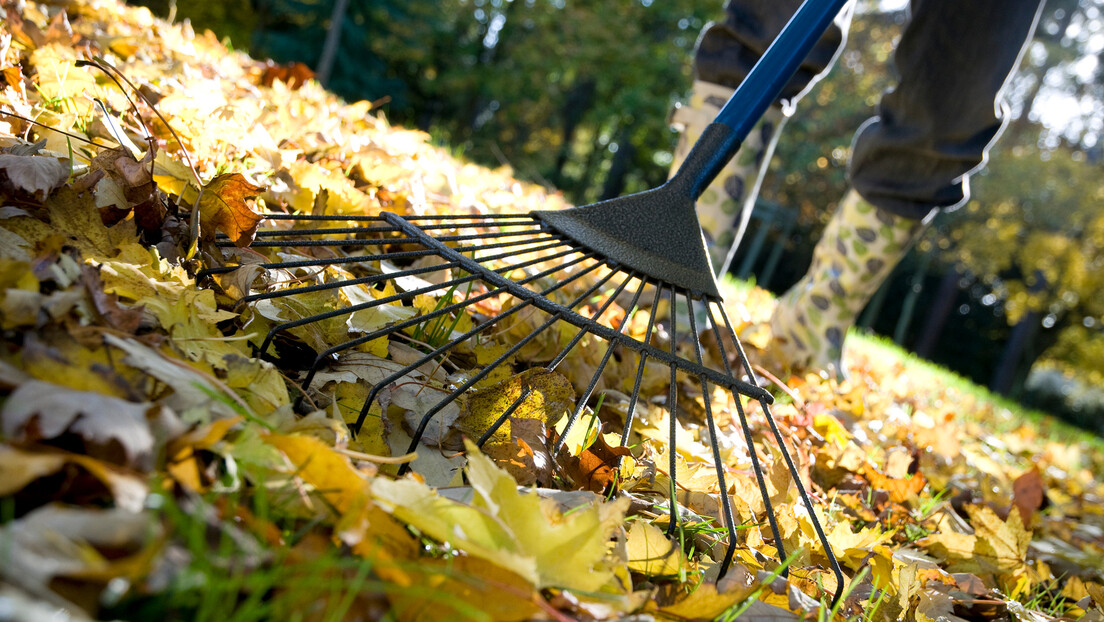 Vremenska prognoza: Jutro sveže, tokom dana sunčano