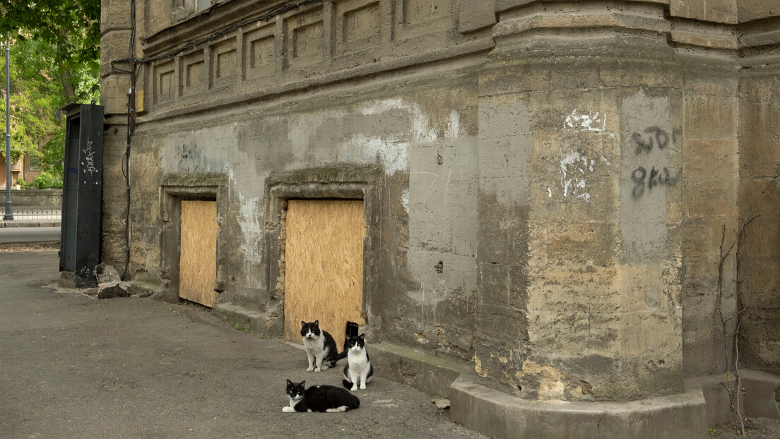 Дерусификација мачака у Лавову: Како се на украјинском каже "мјау"