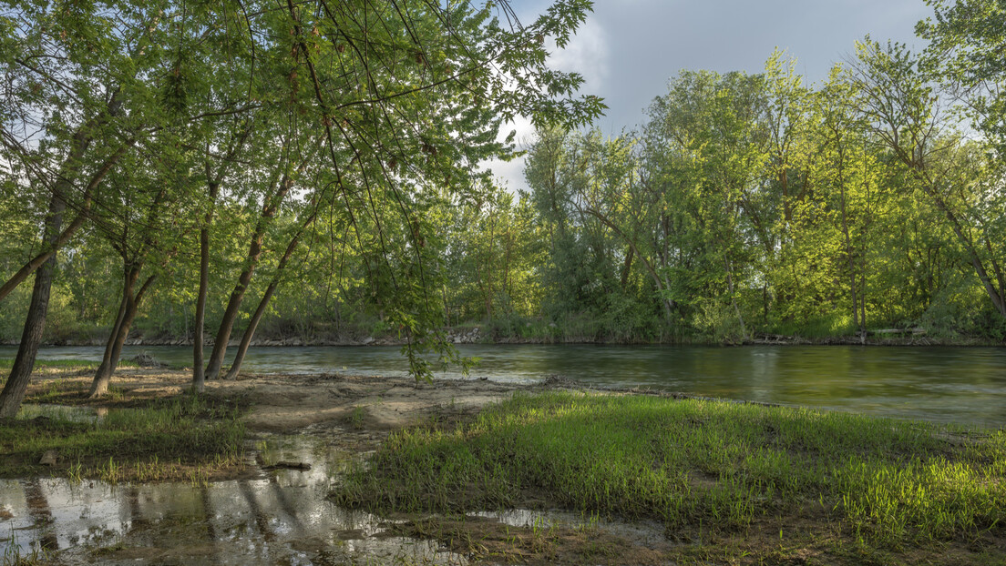 Vasijuganska močvara: Ispod najveće močvare na svetu kriju se drevne tajne i ekološka blaga