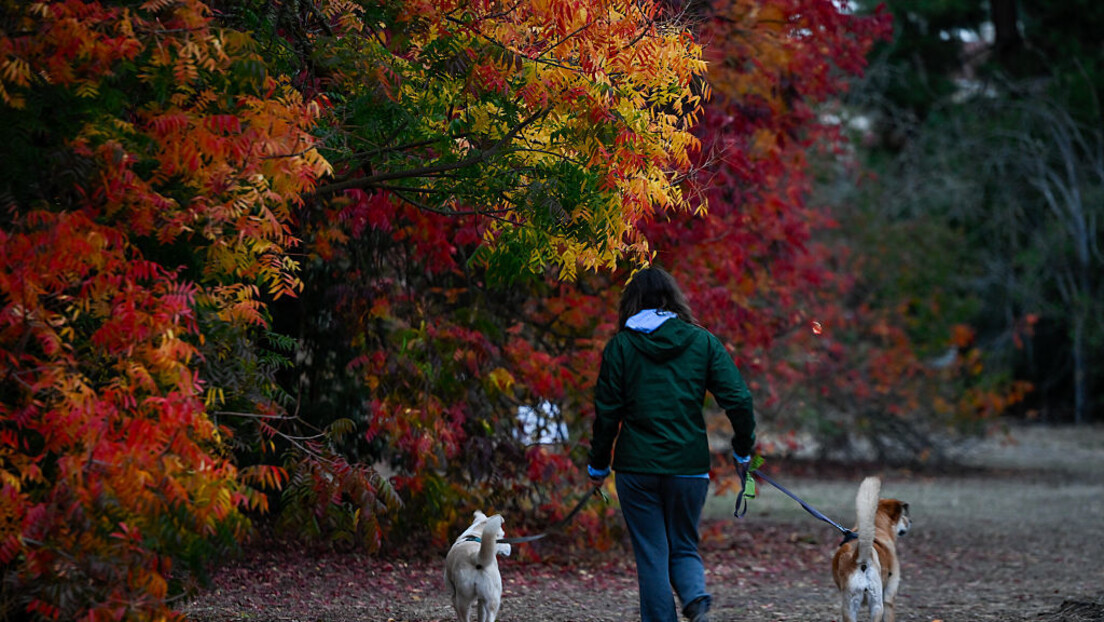 Vremenska prognoza: Spremite se za jutarnji mraz, tokom dana toplije