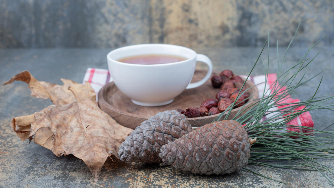 Borove iglice i jod: Šta medicina zasnovana na dokazima kaže o tradicionalnim metodama lečenja