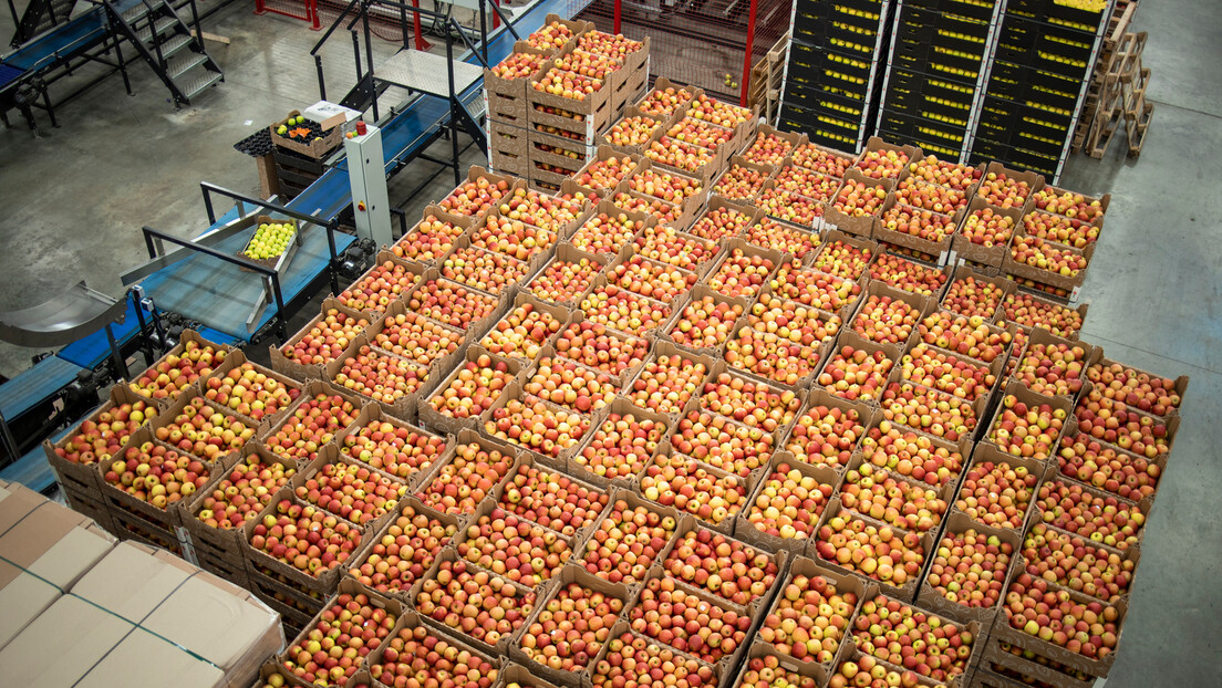 Расте и увоз и извоз из Србије: С ким најбоље тргујемо и шта највише продајемо