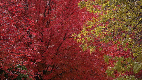 Stiže zahlađenje: Srbiju očekuje oblačno i nestabilno vreme