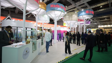 Месаровић о Споразуму о слободној трговини са Кином: То је благо у рукама Србије