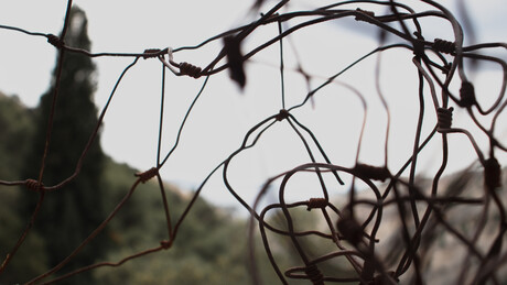 Граница прихватљивог страдања: Колико Срба сме да буде убијено да би се историја допала свима