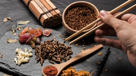 Инсекти, ваздух, медузе: Од чега ће се правити храна у будућности