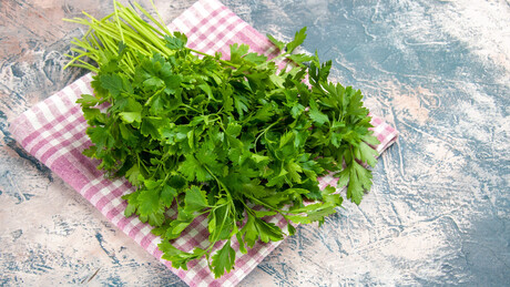 "Đavolja trava": Peršun se dugo smatrao otrovnom biljkom u Rusiji
