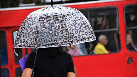 Vremenska prognoza: Oblačno sa kišom, uveče razvedravanje