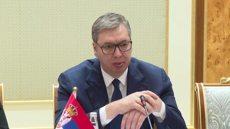 Vučić o razgovoru sa Dijanom Hrkom: Želeo sam da zaustavim agoniju žene koja je izgubila dete