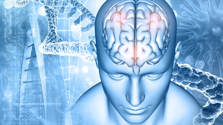 Научници открили неуроне који покрећу анксиозност и начин да се они умире