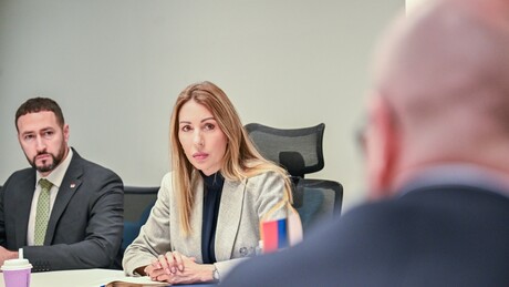 Đedović Handanović: Država spremna, očuvaće stabilnost snabdevanja dok traju pregovori oko NIS-a