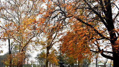 Hladno i sa kišom: U kojim predelima će biti i snega