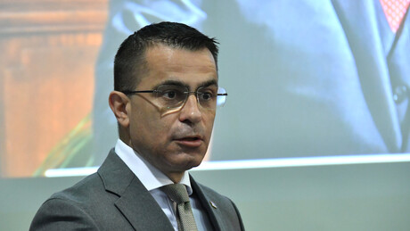 Milićević: Odnosi sa Pokretom nesvrstanih važni zbog nacionalnih i državnih interesa