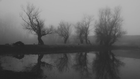 Oblačno i hladno, mestimično s kišom, najviše od 7 do 10 stepeni