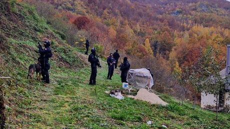 Осуђен Алија Балијагић: Поступао хладнокрвно и на подмукао начин