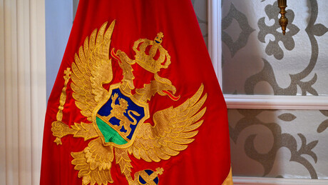 Blaga sumnja i drhtava nelagoda: Milan Knežević pisao ambasadoru EU u Podgorici zbog kolektora