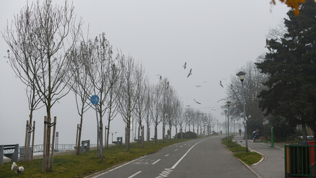 Dan sa najmanje tri godišnja doba: Od minusa i mraza do sunčanih 14 stepeni