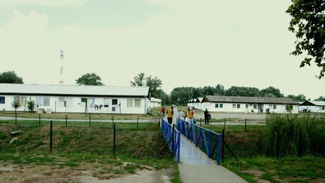 Међународни дан миграната: Колико их има у нашој земљи