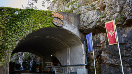 Како је Михаел Мартенс срушио илузију о евроинтеграцији Црне Горе