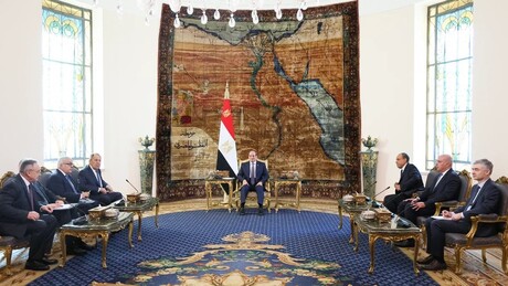 Од безбедности до економије: У којим све областима Русија сарађује са афричким земљама