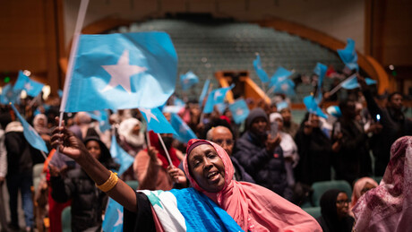 Добро дошли у Минесомалију