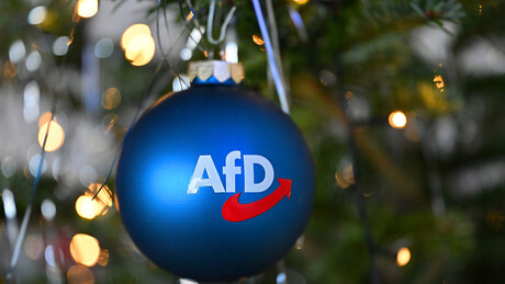 AfD pod sumnjom Berlina: Parlamentarna pitanja ili bezbednosna pretnja