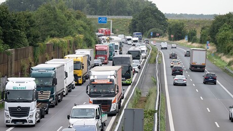 Рафови ће тек бити празни: Удружење друмских превозника објавило колико возача камиона фали Немачкој