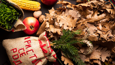 Sindikat o preporuci Vlade Srbije: Od čega zavisi da li će se raditi na Badnji dan