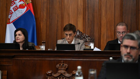 Брнабић: Опозиција од европарламентараца тражила санкције, ректор се жалио због српских студија