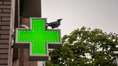 Ima li spasa za "Apoteke Beograd": Grad ih tužbama gura dublje u propast, vlada traži novi izveštaj