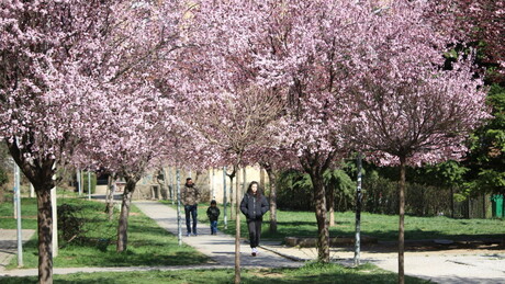 Дугорочна прогноза: Какво нас пролеће чека и да ли нам прете поплаве